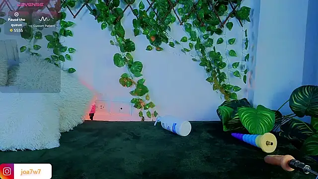 Levii_Ackermann webcam