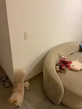 anavi_ (F young) - Ride your cock and cum show