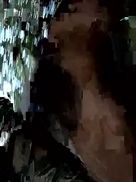 Reinacatchile webcam