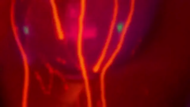 HeyBananas's live cam