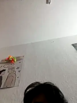 velludojarocho webcam