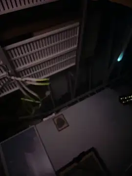 Phattpinktaco webcam