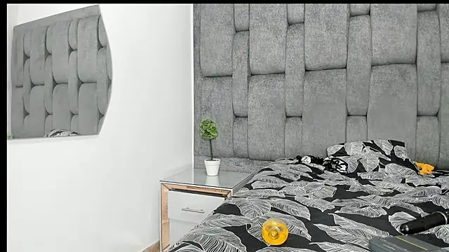 CrystalHeat_OS webcam