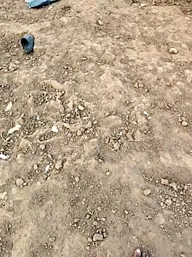 desi_alpha_boy webcam