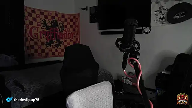 DevilPup75_ webcam