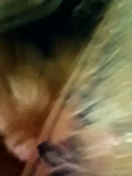 Marathi_gavtami webcam