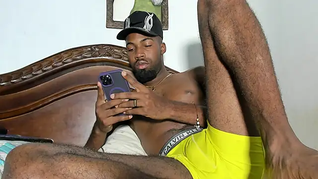 blaze_panther webcam