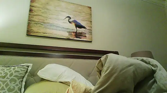 Beautifulkash webcam