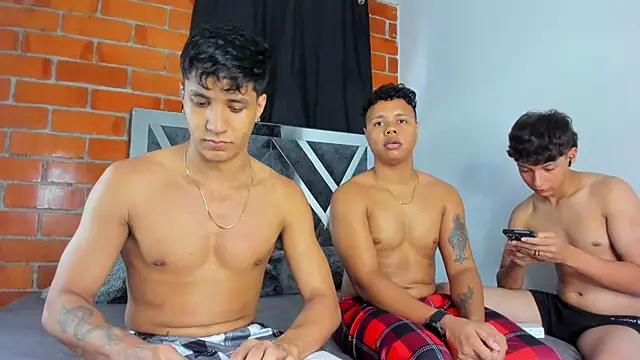 MaelSebasAndRobert1 webcam