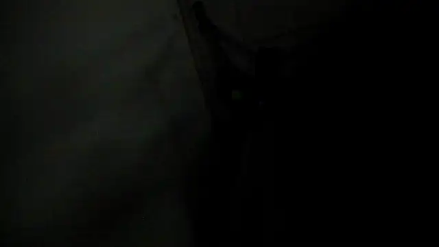 miss_charlott_18 webcam