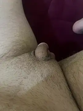 Preview of izmirlikobra