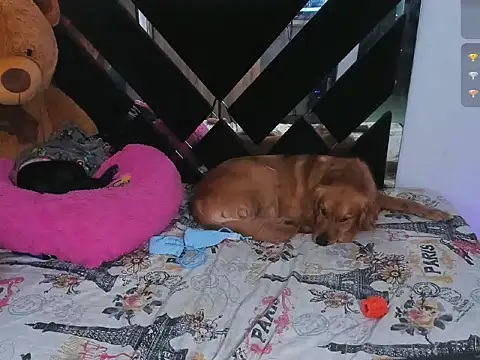 CatalinaSmith1 webcam