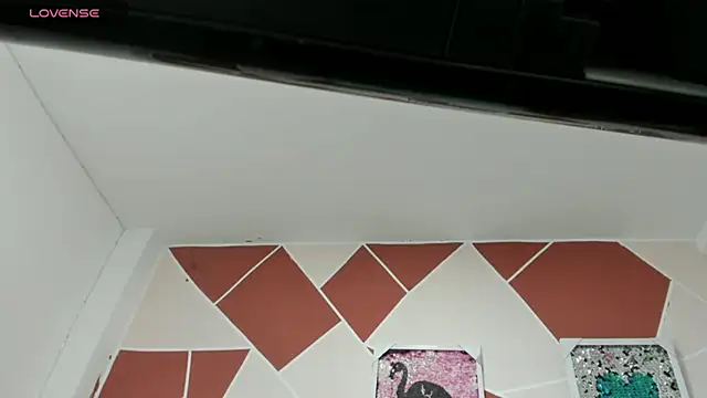 cami_venus_atm webcam