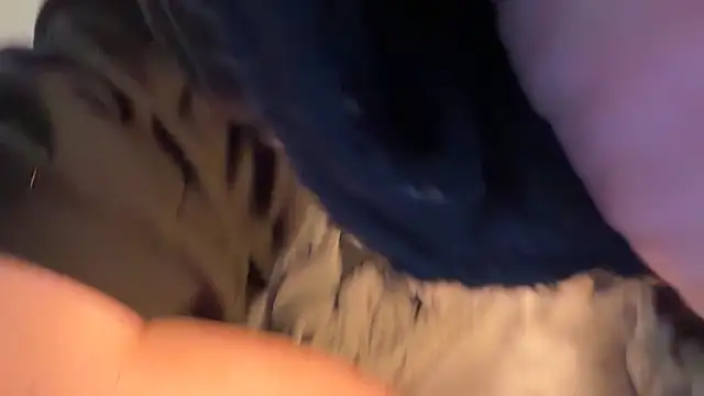 ClaireDeLunee webcam