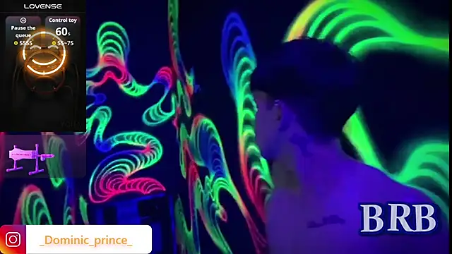 DominicPrince webcam