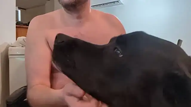 greyd333 (Ask my age) - CUM