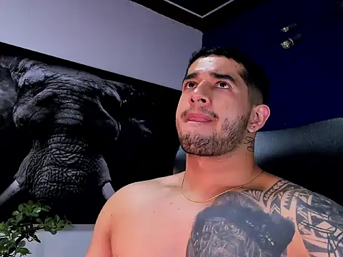 king_falconer webcam