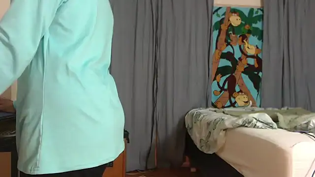 ANALTRAINING2 webcam