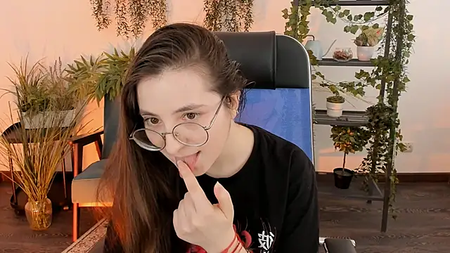 VirtuallVoyant webcam