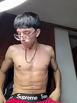 ArthurDavies_ webcam