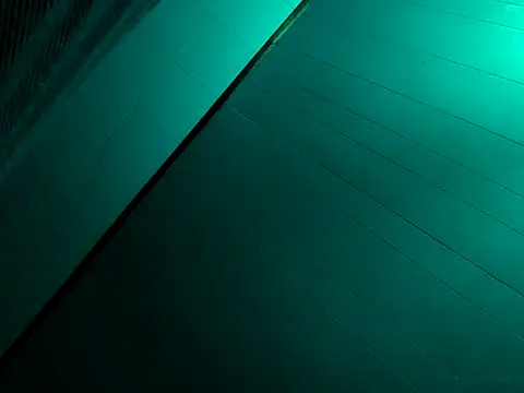 nicedicknicetats webcam