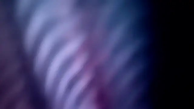 Forbidden_daddy webcam