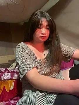 ha-cute Live Webcam on Stripchat