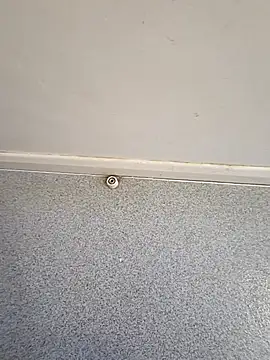 YoungAsainWithATrunk webcam