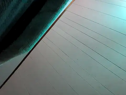 nicedicknicetats webcam