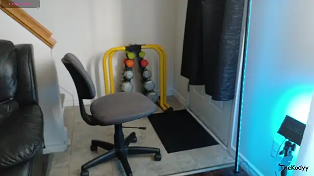 Thekodyy webcam