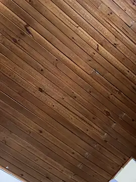 scarlet_tommy (F young) - make me squirt