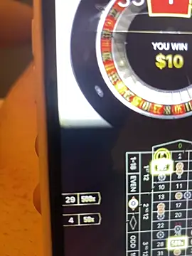 CryptoCoupleXMR-BTC-USDT webcam