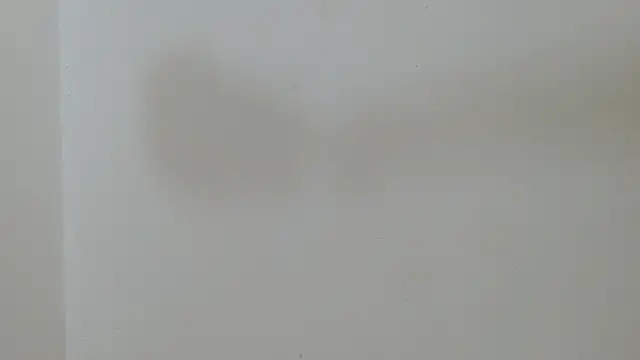 skinnyverus18 webcam