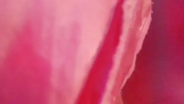 gabriella_ortiz (F young) - 2 fingers ass