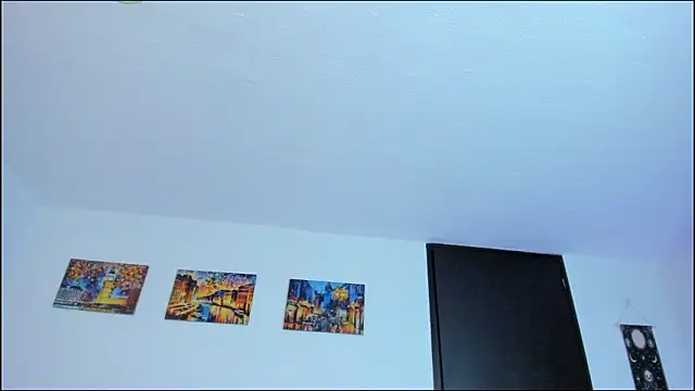 engell_brunet webcam