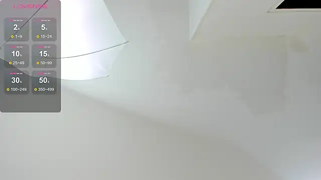 KendalStallyon webcam