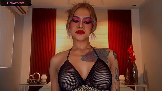 StellaStrong30 webcam