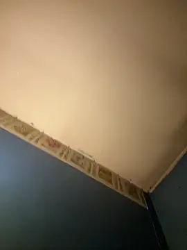 Thickerthenasnickerandkk webcam