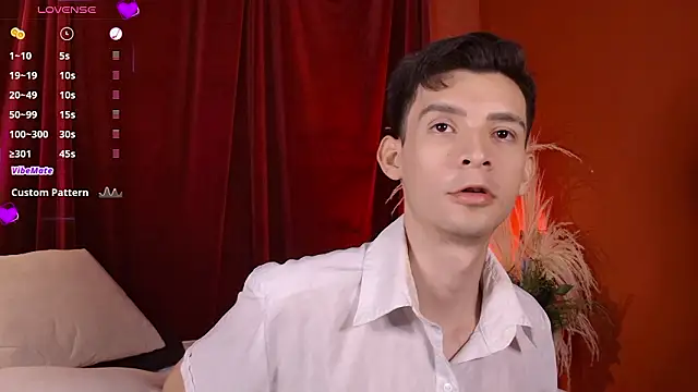 VicenteFerrer webcam