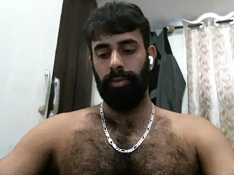 indianhairybull webcam