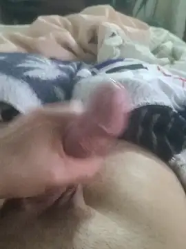 Carriata_larry webcam