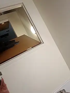 ReallyReallyReal webcam