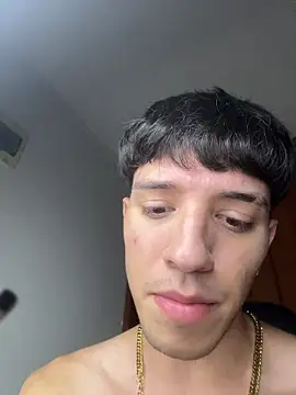 ArthurDavies_ webcam