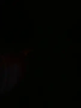 aurora_smith777 webcam