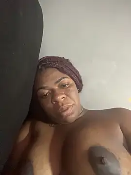 Priihmedeiros webcam