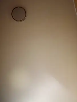 paradise777777 webcam