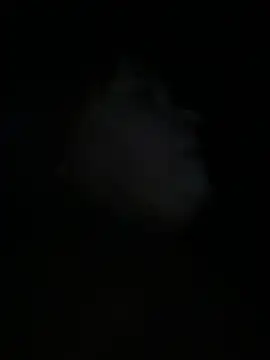 BigboobsDream99 webcam