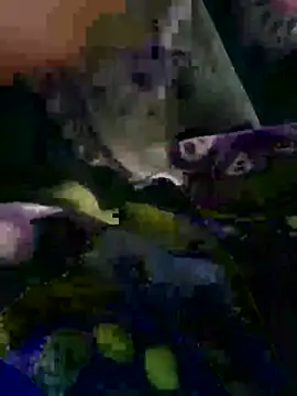 tonyxx000 (M young) - #big-ass #black-hair #cam2cam #cheap-privates #chubbies #cumshot #handjob #hd #hindi #indian #masturbation #mobile #muscular #new #shower #small-audience #straight #young