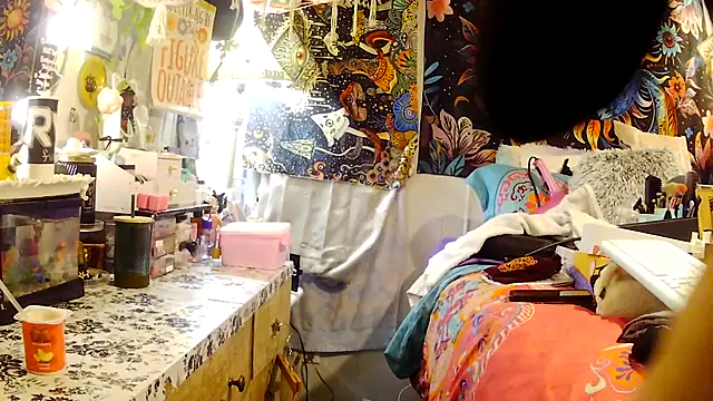 gypsyadventures1 webcam