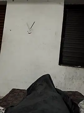 bengal_tiger420 (M young) - Flashlight